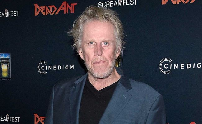 What is the Net Worth of Gary Busey? House, Mansion, Cars, Earnings