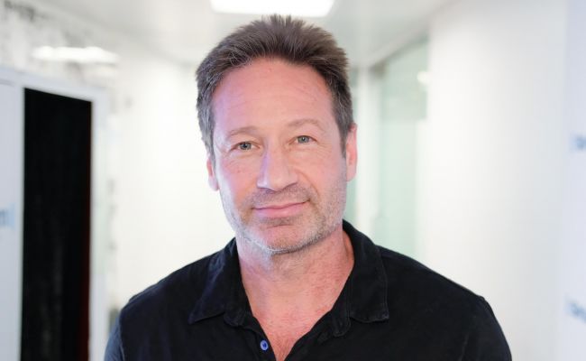 Net Worth of David Duchovny? House, Mansion, Cars, Earnings