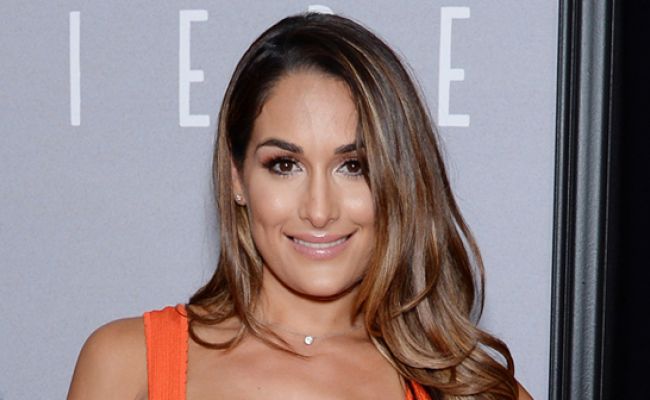 What is the Net Worth of Nikki Bella? House, Mansion, Cars, Earnings