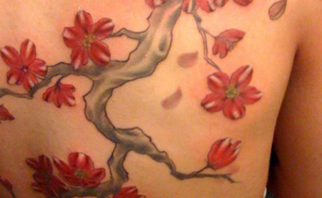 Cherry Blossom Designs