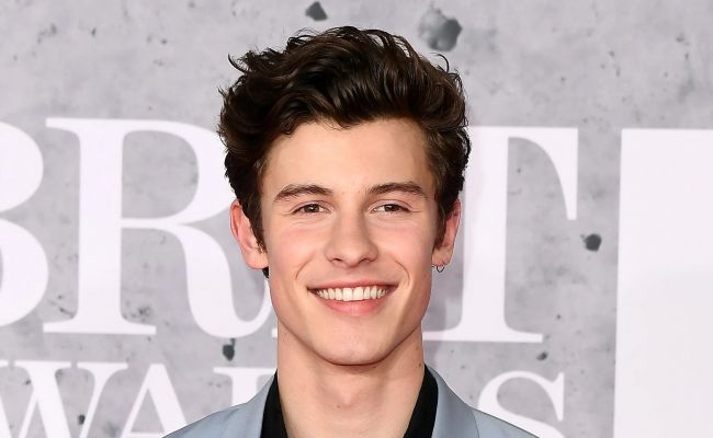 Shawn Mendes networth