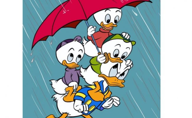 The nephews of Donald Duck
